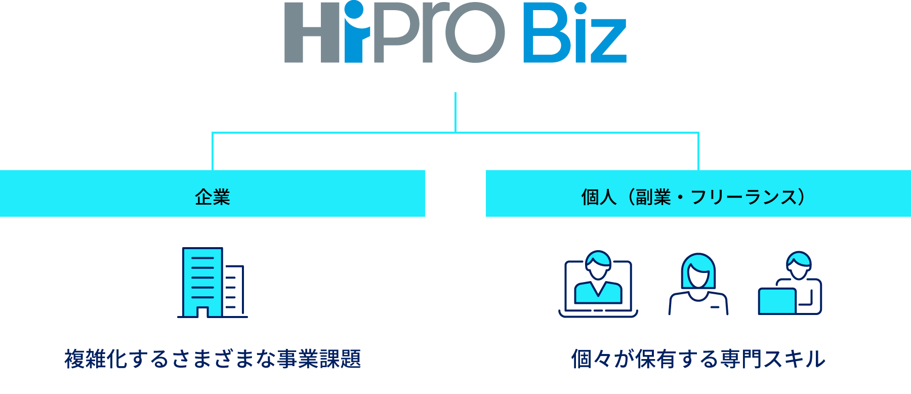 HiPro Biz 企業 個人（副業・フリーランス）