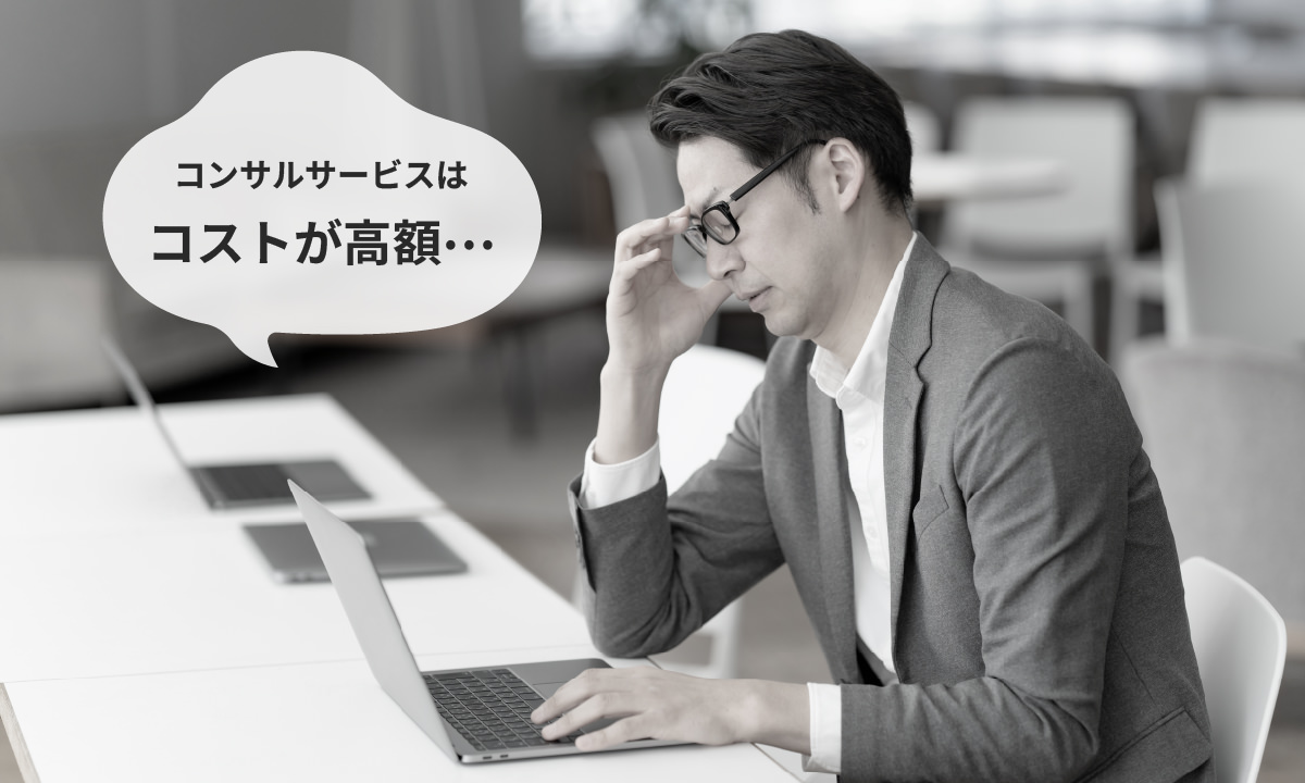 コンサルサービスはコストが高額...