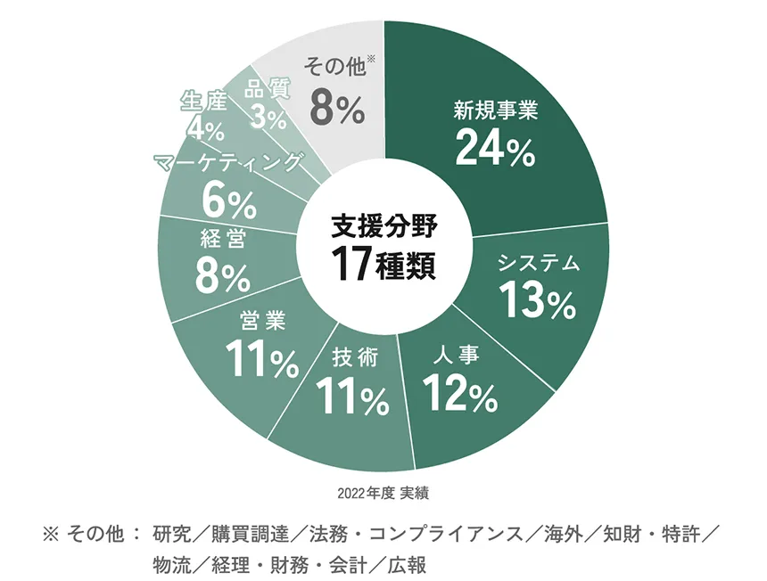 17種の経営課題支援分野グラフ