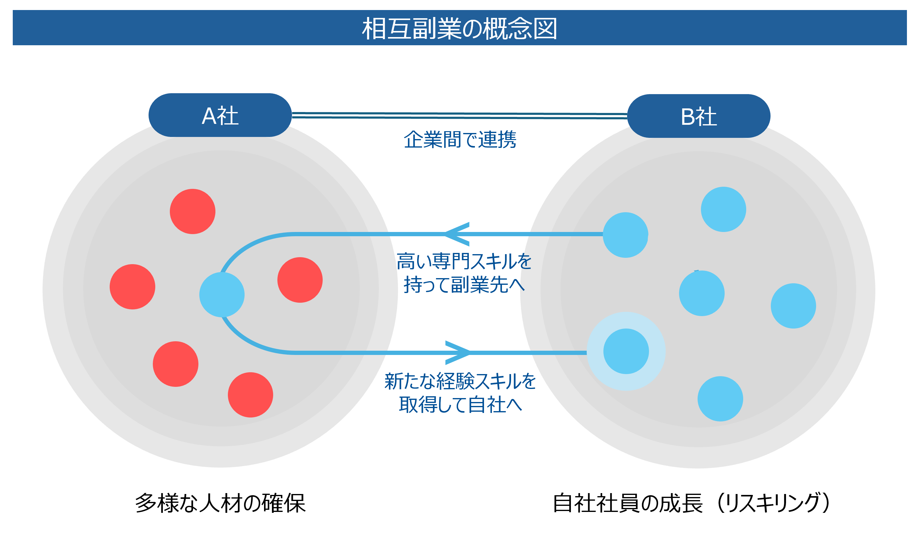 相互副業の概念図